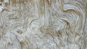 madera